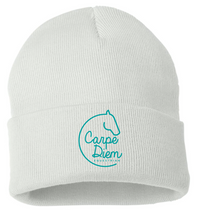 Load image into Gallery viewer, Carpe Diem Equestrian - Sportsman - 12&quot; Knit Beanie